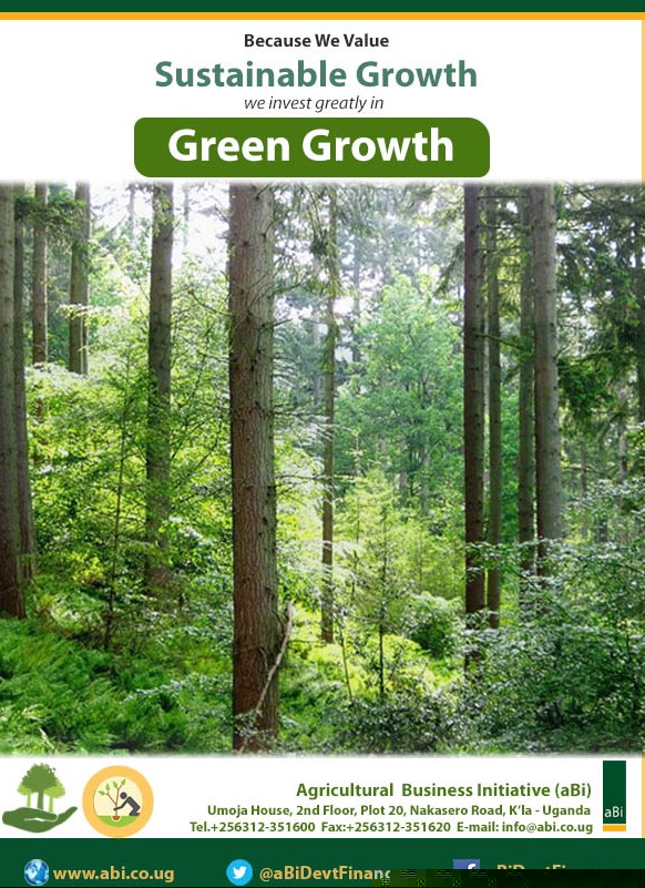 Green-Growth-investment-flyer